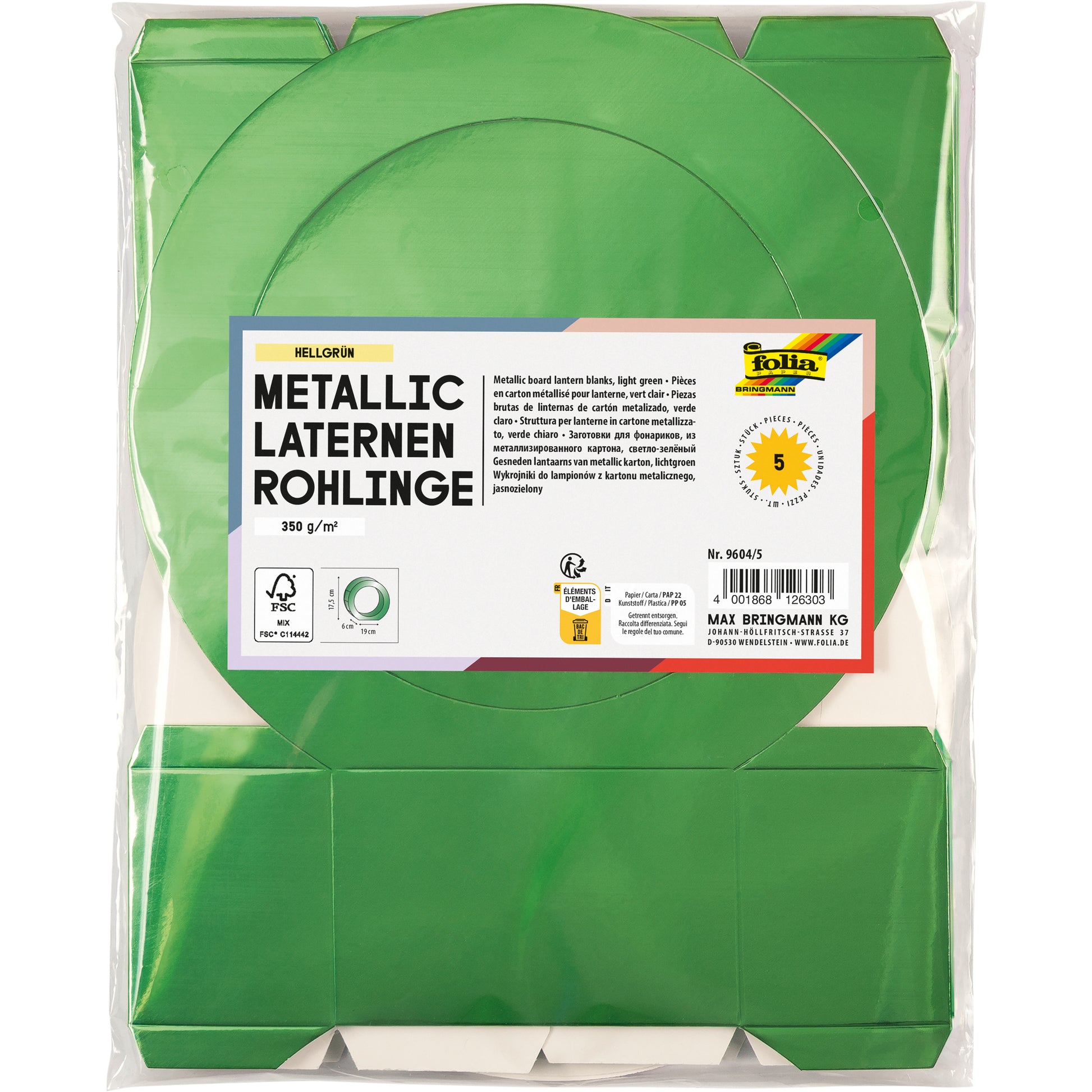Folia Pappmaché-Rohling, Hellgrün, Metallic, 20 × 25,2 × 0,4 cm, 5 Stk., 9604/5