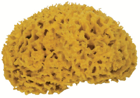 Frina Naturschwamm – 6,4 × 6,4 × 4,2 cm, gelb