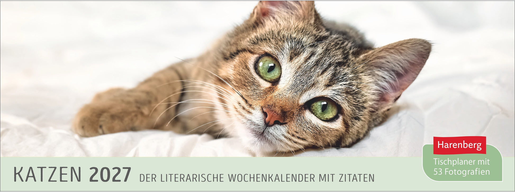 Harenberg Tischkalender 2027, 1 Woche/2 Seiten, 29,9×11,1 cm, Hardcover, Katzen