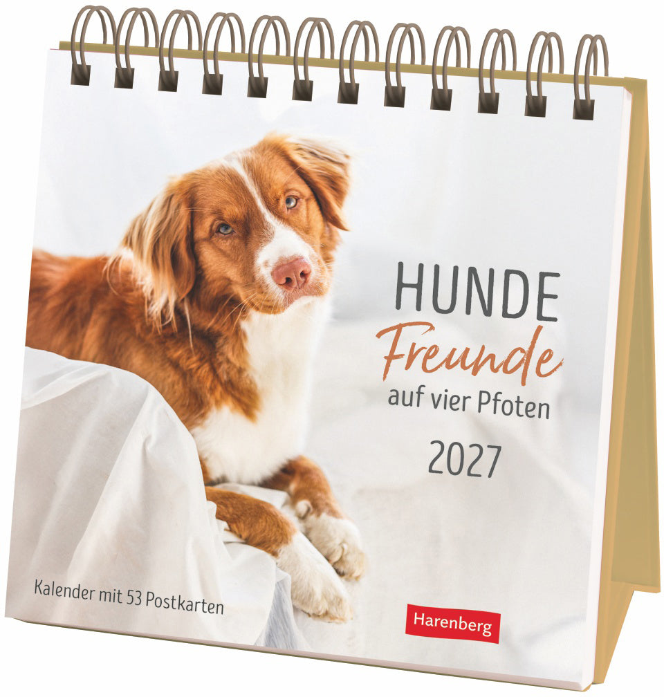 Harenberg Hunde Premium – Postkartenkalender 2027 – 16 × 17,5 cm – 1 Woche/Seite – 53 Postkarten