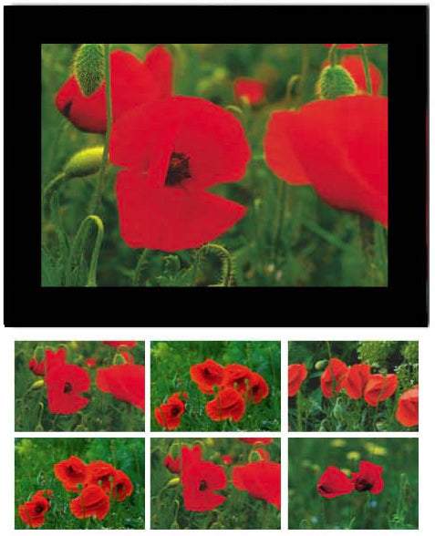 Haschemi Karten-Set mit Couverts – 166 × 110 mm, Edelkarton, Mohnblumen, Mehrfarbig – 6 Sets
