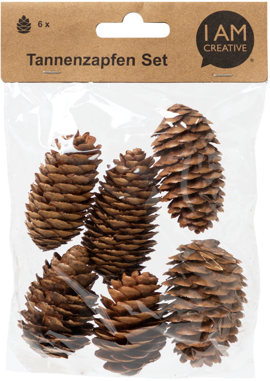 I am creative Tannenzapfenset, Tanne, Braun, 13 × 3 × 18 cm, 6 Stk., Länglich, 6102.87