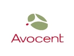 Vertiv Avocent ADB0025 Adapter RJ-45 zu DB-25