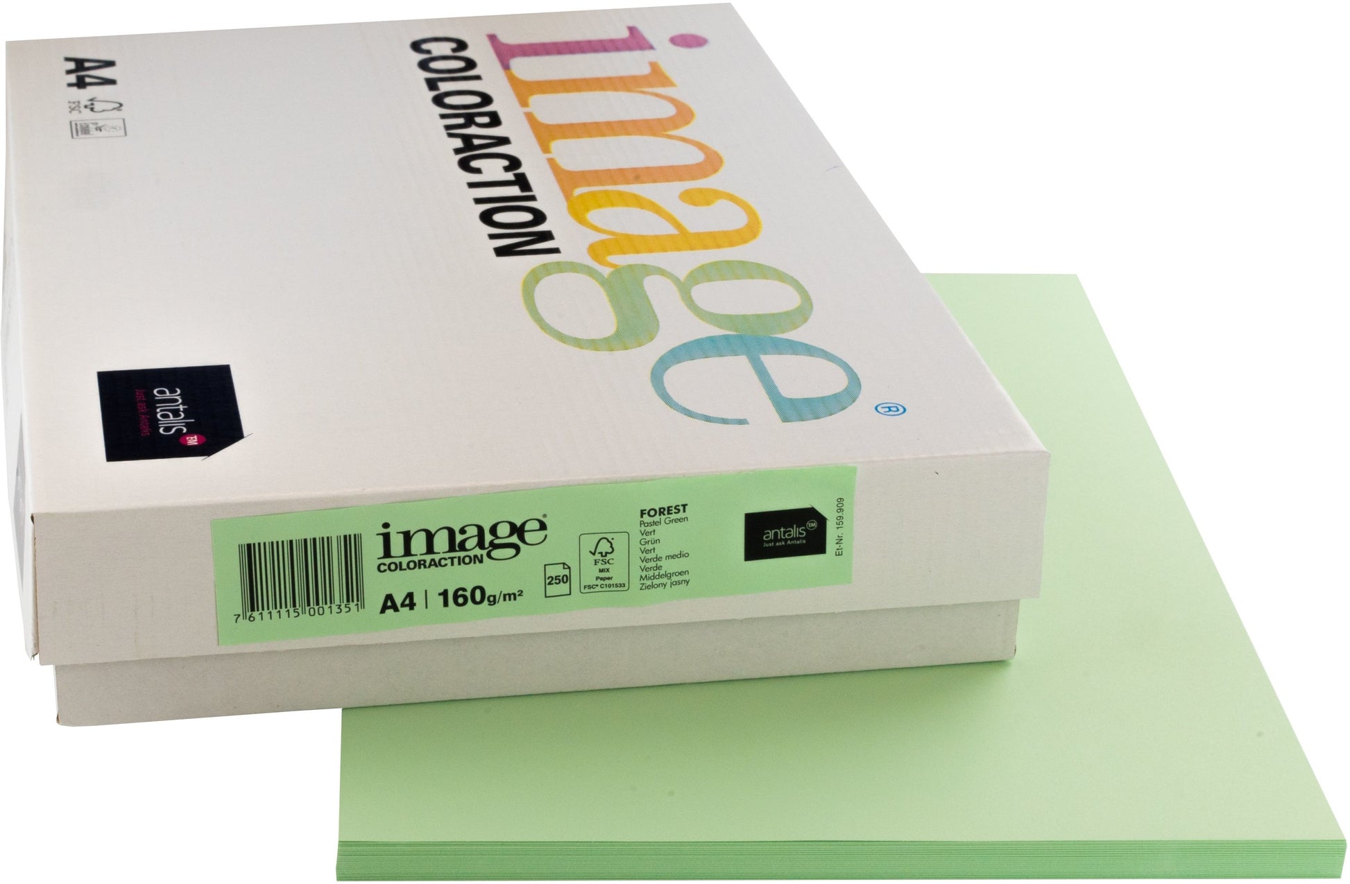 Image coloraction Forest Farbiges Kopierpapier Grün – A4, 160 g/m²