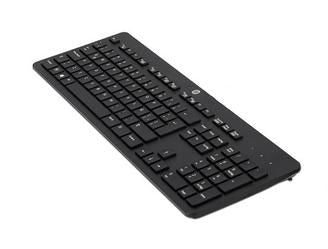 HP Tastatur – 100% – kabelgebunden, USB – Isländisch – schwarz