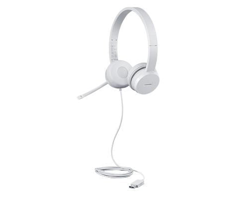 Lenovo Office-Headset – Over-Ear, Stereo, Kabel (USB-A), Grau