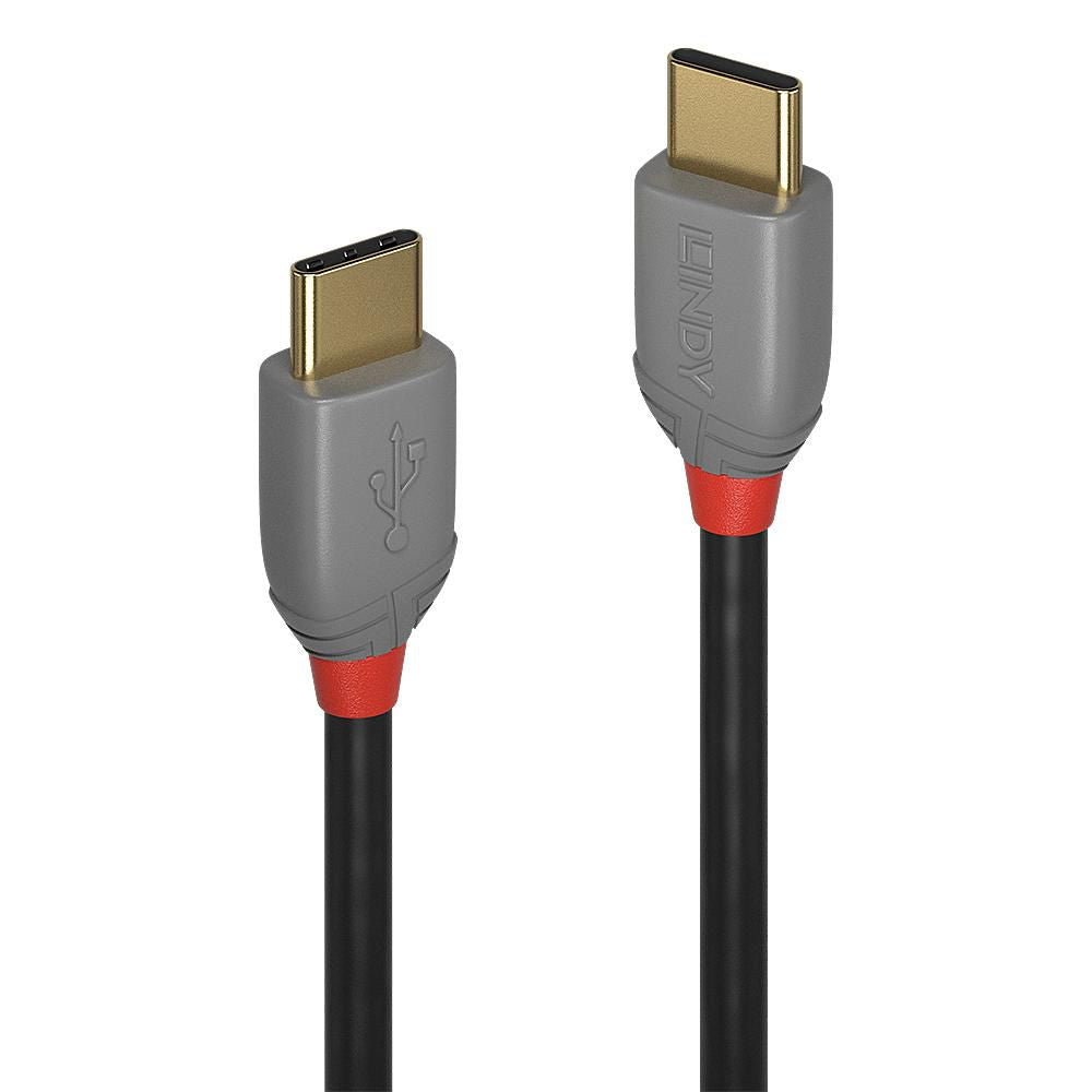 Lindy USB-Kabel, USB-C zu USB-C, 2 m, USB 2.0