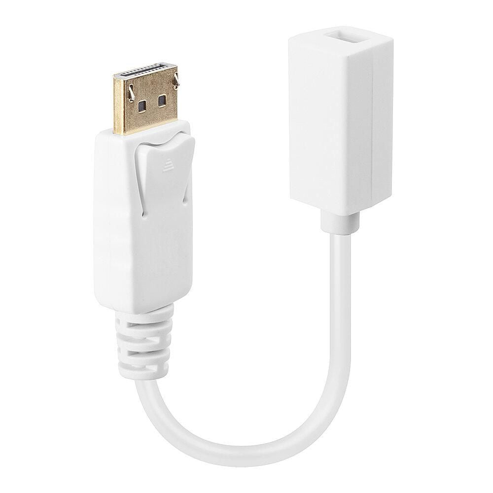 Lindy DisplayPort (Stecker) auf Mini DisplayPort (Buchse) Adapter, 15 cm