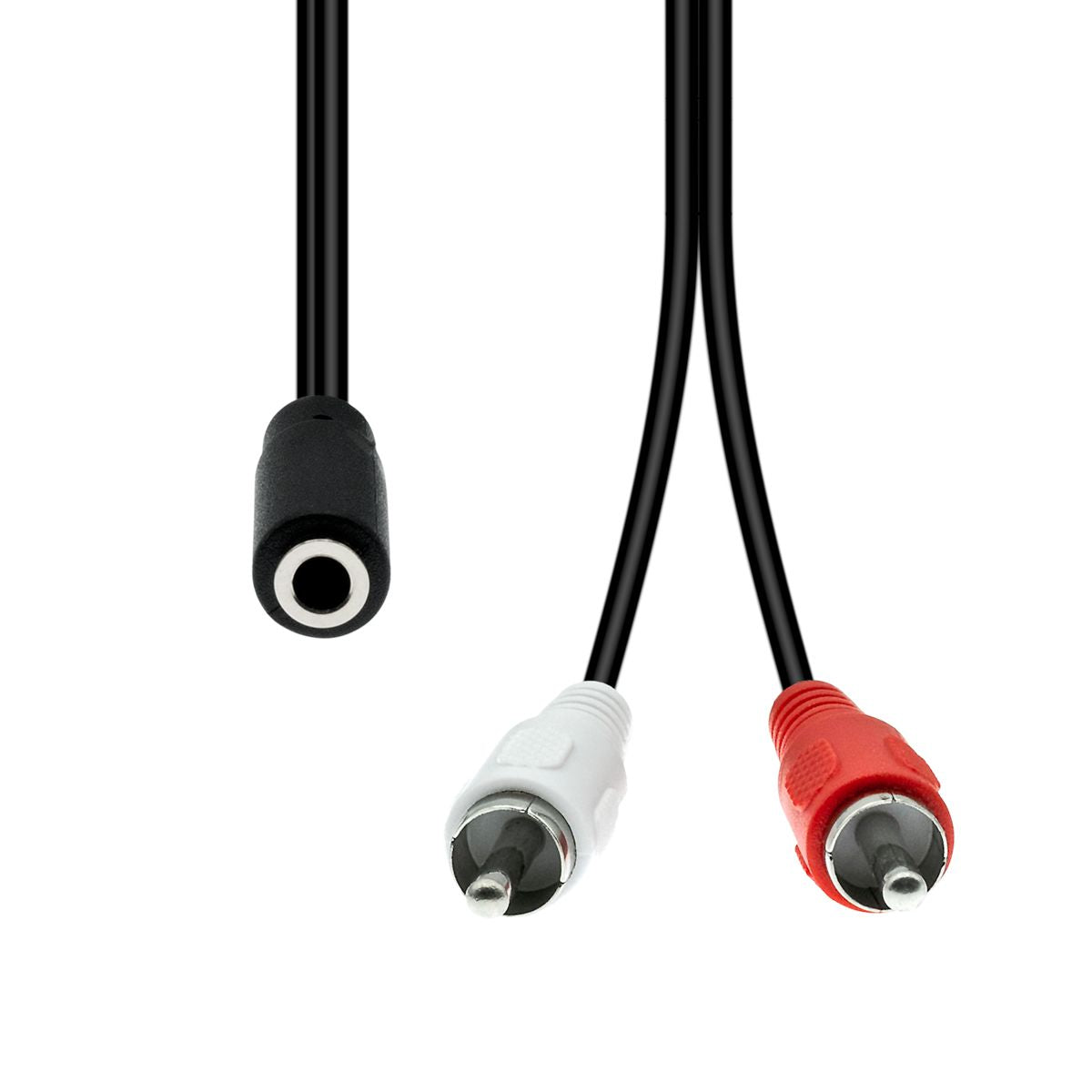 Proxtend XLR-auf-2×-Cinch-Adapterkabel – XLR (3-pol) Buchse zu 2× Cinch Stecker – 0,2 m, Schwarz