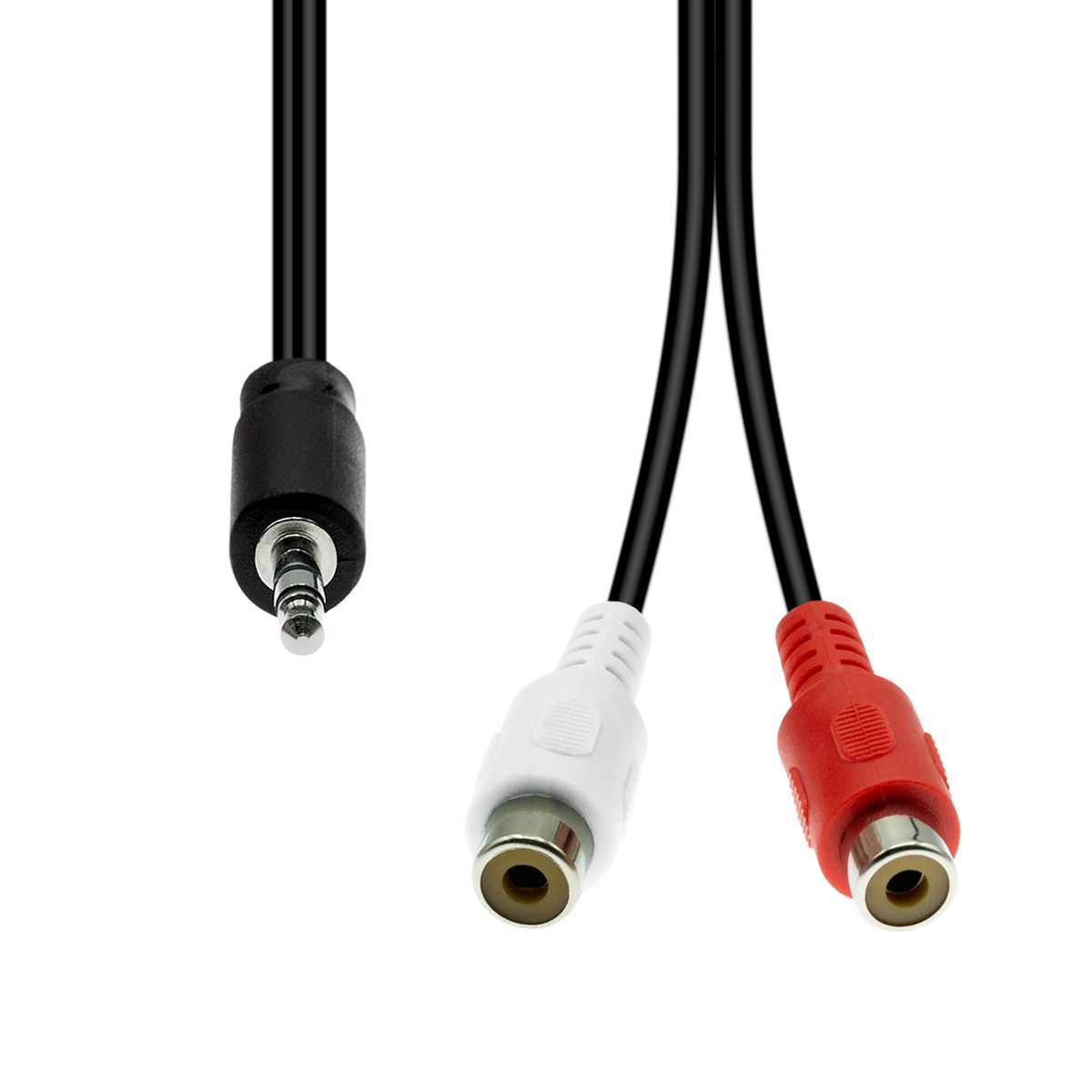 Proxtend XLR-Kabel – XLR (3-pol) Stecker – 2× Cinch Buchse – 0,2 m
