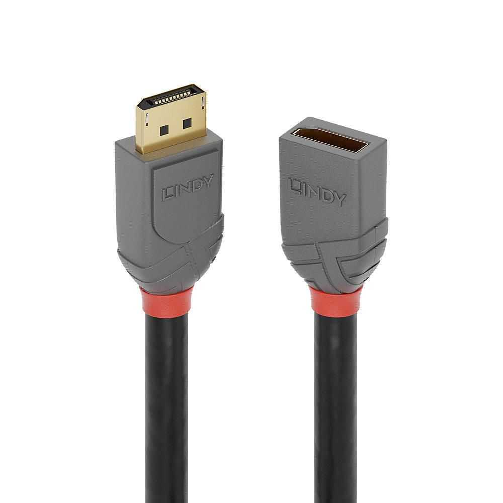 Lindy DisplayPort 1.4 Verlängerung – 3 m, grau