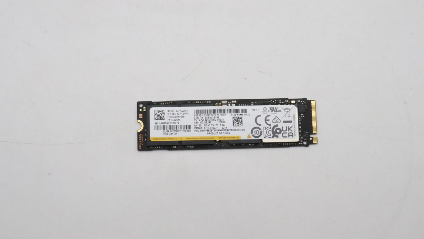 Lenovo 256 GB M.2 2280 PCIe NVMe SSD