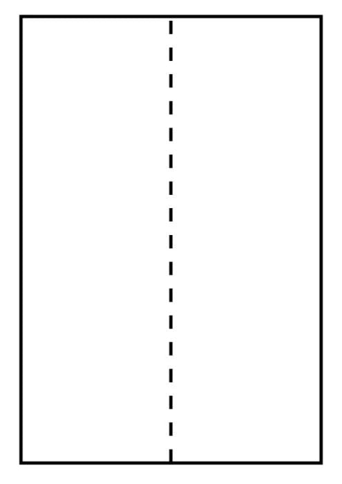 Capture Versandetiketten, 105 mm × 297 mm, für Laser- und Tintenstrahldrucker, 500 Bogen