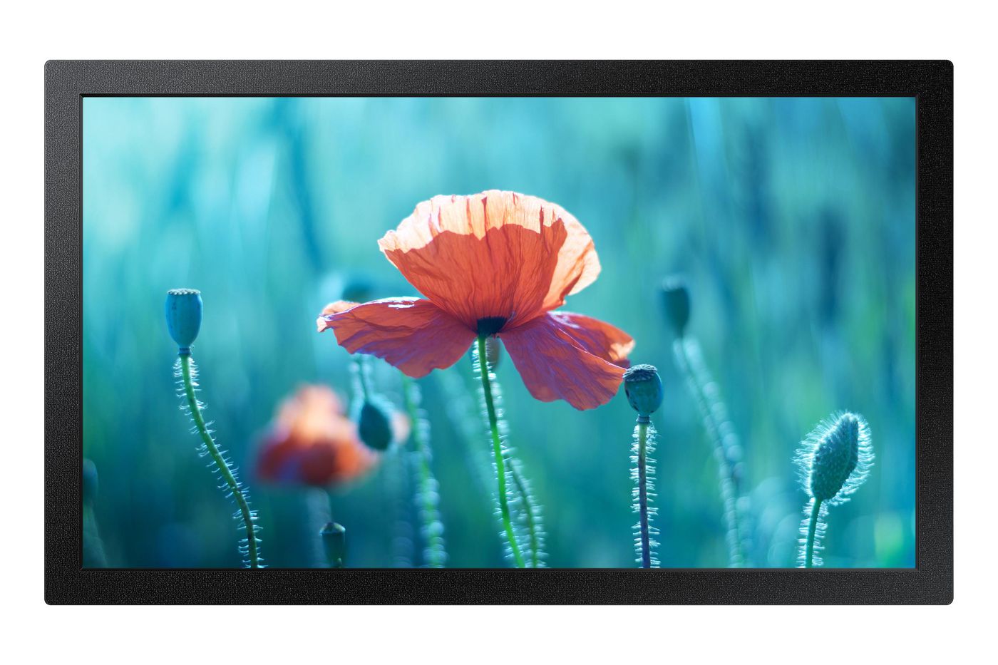 Samsung QB13R – Signage-Display, 13", Full HD, 500 cd/m², 16/7