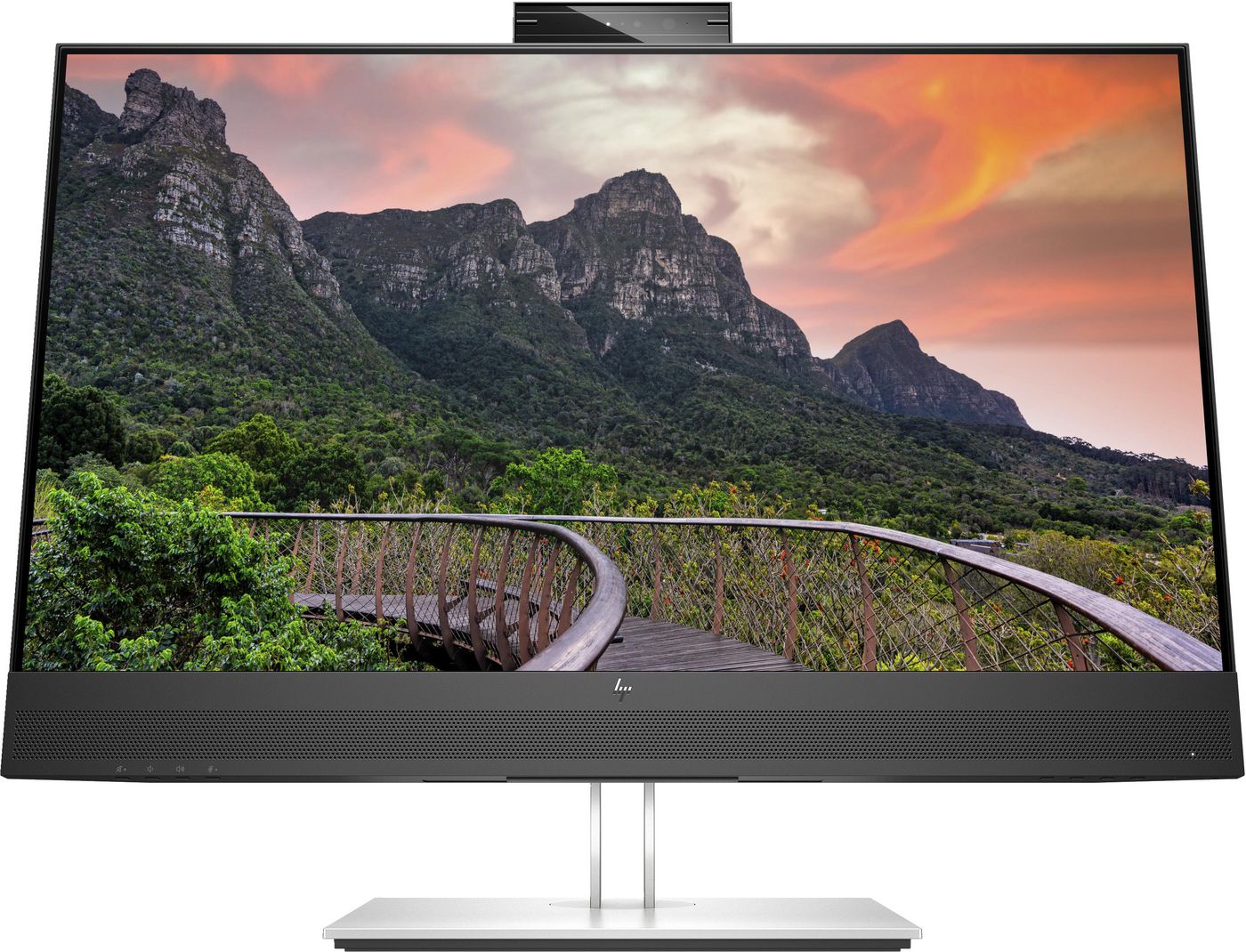 HP Monitor