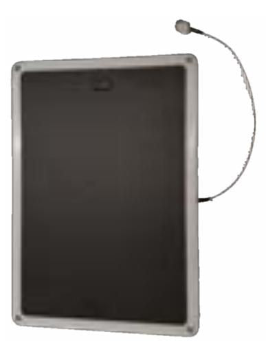 Zebra Antenne, 391,2 mm × 274,3 mm