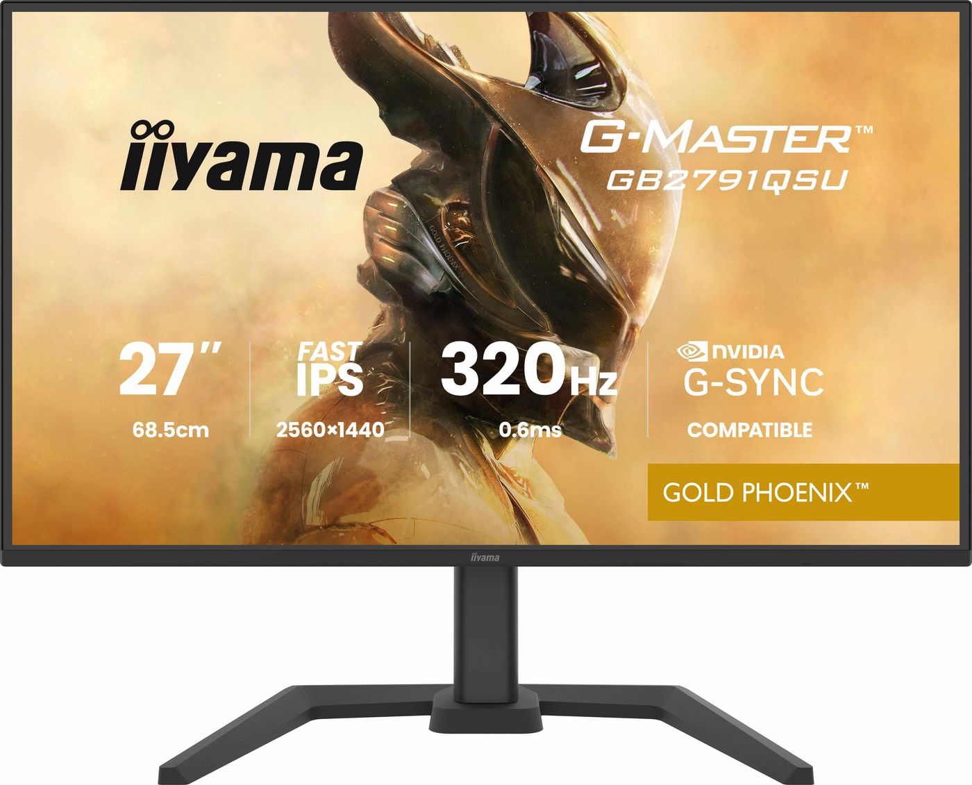 iiyama GB2791QSU-B1 – 27", 2560 × 1440 (WQHD), IPS, 320 Hz, USB-C 5 W