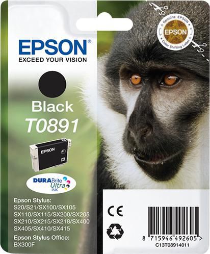 Epson Tintenpatrone T0891, Schwarz – für Inkjetdrucker/Multifunktionsgeräte