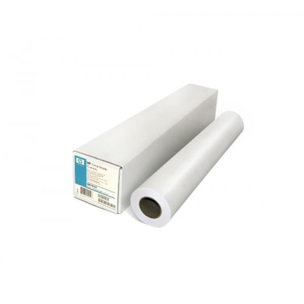 HP Leinwand matt – 1'067 mm