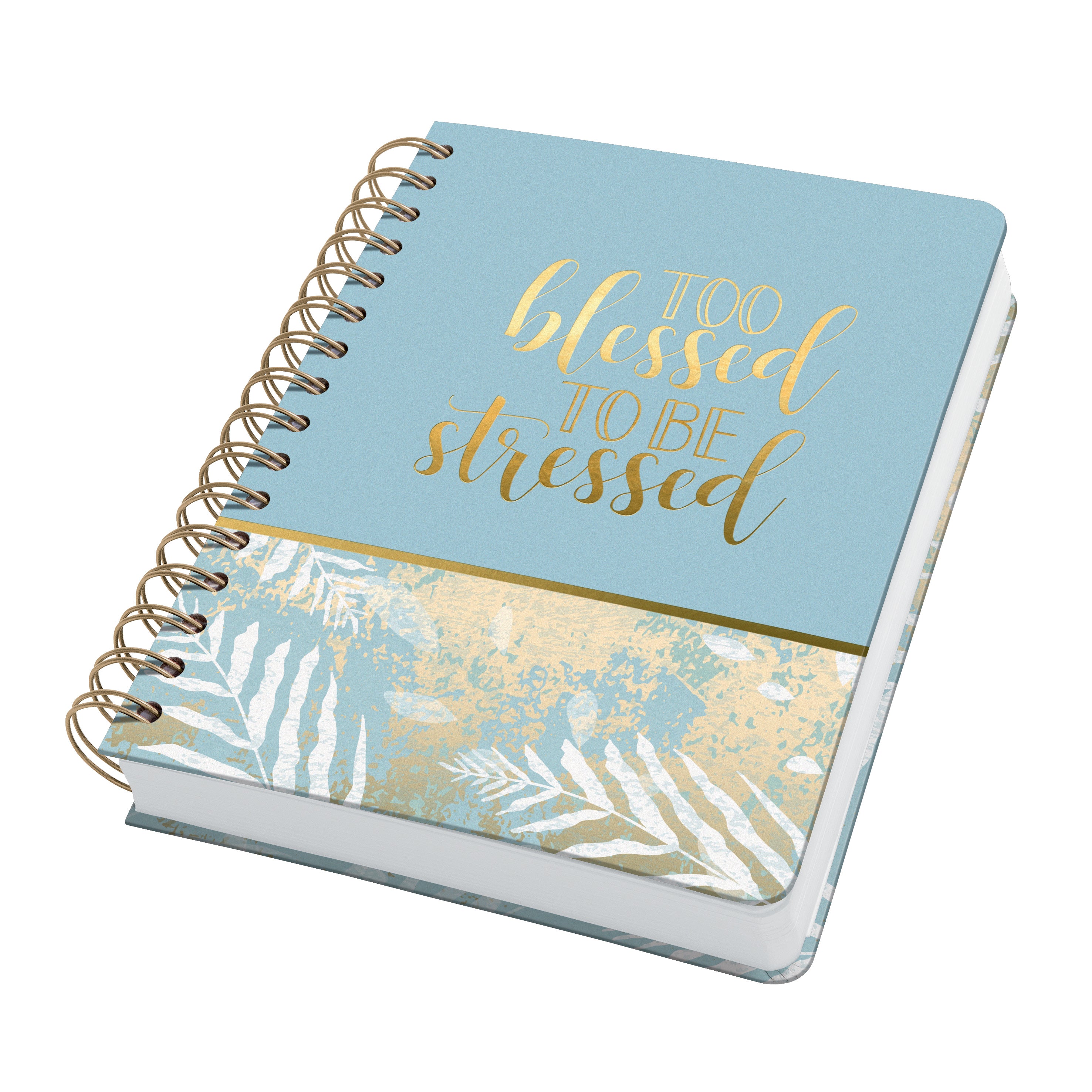 Jolie Spiralbuch – 165 × 215 mm – punktiert – 240 Seiten – Hardcover, mikroperforiert, Einstecktasche