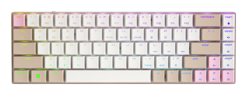 CHERRY MX-LP 2.1 Kompakt Kabellos – Tastatur, Kabellos (Bluetooth/2,4 GHz), US-Layout (EN) – für Windows