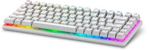 Alienware Pro Wireless – Gaming-Tastatur 75% – Mechanisch, RGB – Bluetooth & 2,4 GHz – Weiss