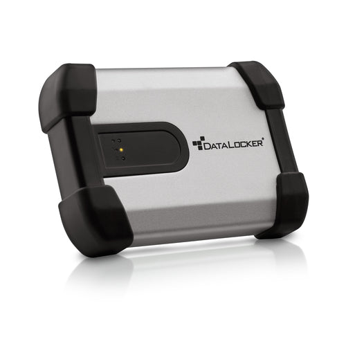 DataLocker IRONKEY H350 Enterprise – 1 TB (vorinstalliert), 2,5" HDD, SATA