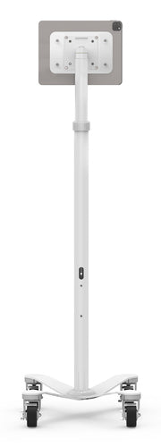 Compulocks Laptop-Ständer – bis 13", VESA 75×75, 100×100, verriegelbare Räder – Weiss