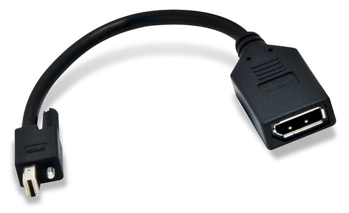 Matrox Mini DisplayPort auf DisplayPort Adapter