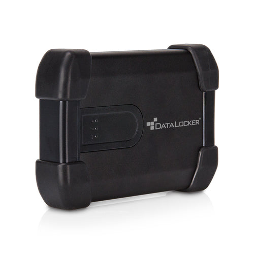 DataLocker H300 Basic 500 GB – für 2,5" HDD, USB 3,2 Gen 1