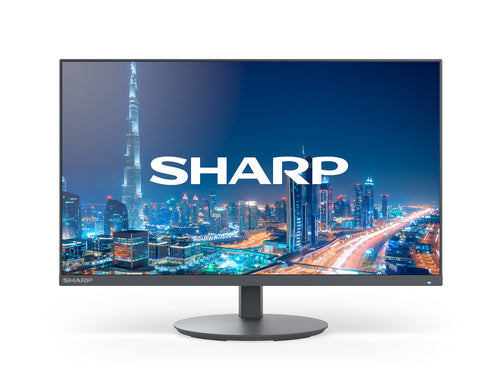 Sharp DD-E244F – 24", 1920 × 1080 (Full HD), VA