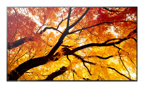 Sharp MultiSync M752 – 74,5", 3840 × 2160 (4K), IPS, USB-C 60 W, LAN