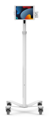 Compulocks Tablet-Bodenständer – für Tablets 7–13", VESA 75×75, 100×100, verriegelnde Räder – Weiss