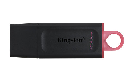 Kingston Technology Kingston DT Exodia USB-Stick – 256 GB, USB 3.2 Gen 1, Schwarz, Pink