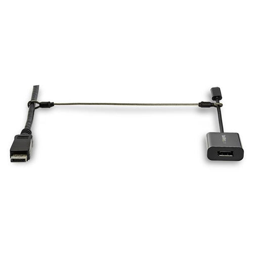 StarTech.com Sicherungskabel – Stahl, mit Adaptern, 20er-Pack