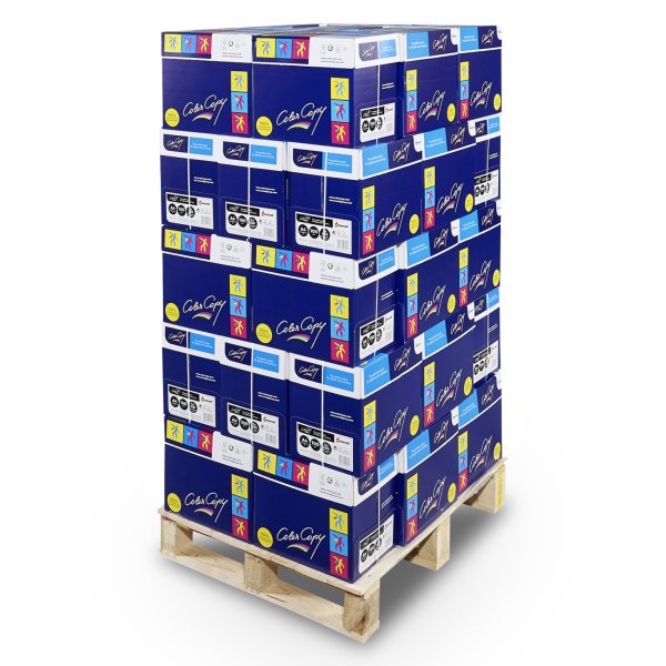 Colorcopy Kopierpapier – A4, 100 g/m², hochweiss – FSC – 50000 Blatt