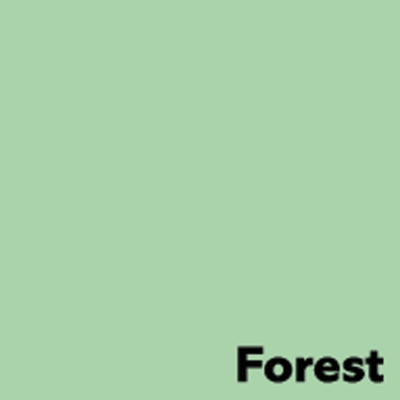 Image Coloraction Kopierpapier – A3, 160 g/m², Grün – FSC – 250 Blatt