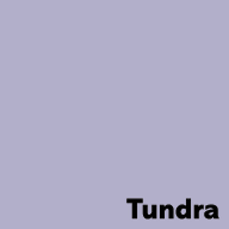 Image Coloraction Kopierpapier – A3, 120 g/m², Tundra/Lavendel – FSC – 250 Blatt
