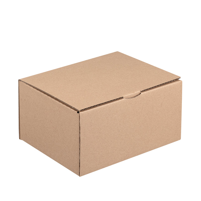 Klappschachtel Braun – 232 × 165 × 120 mm – 50 Stk.