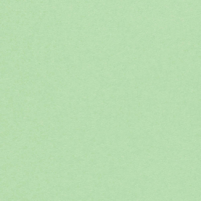 Olin Kopierpapier – A4, 240 g/m², Frühlingsgrün – FSC – 125 Blatt