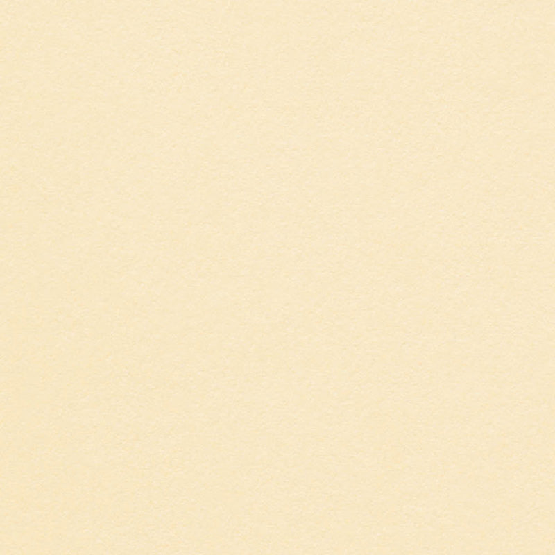 Olin Kopierpapier – A4, 240 g/m², Vanille, matt – FSC – 125 Blatt