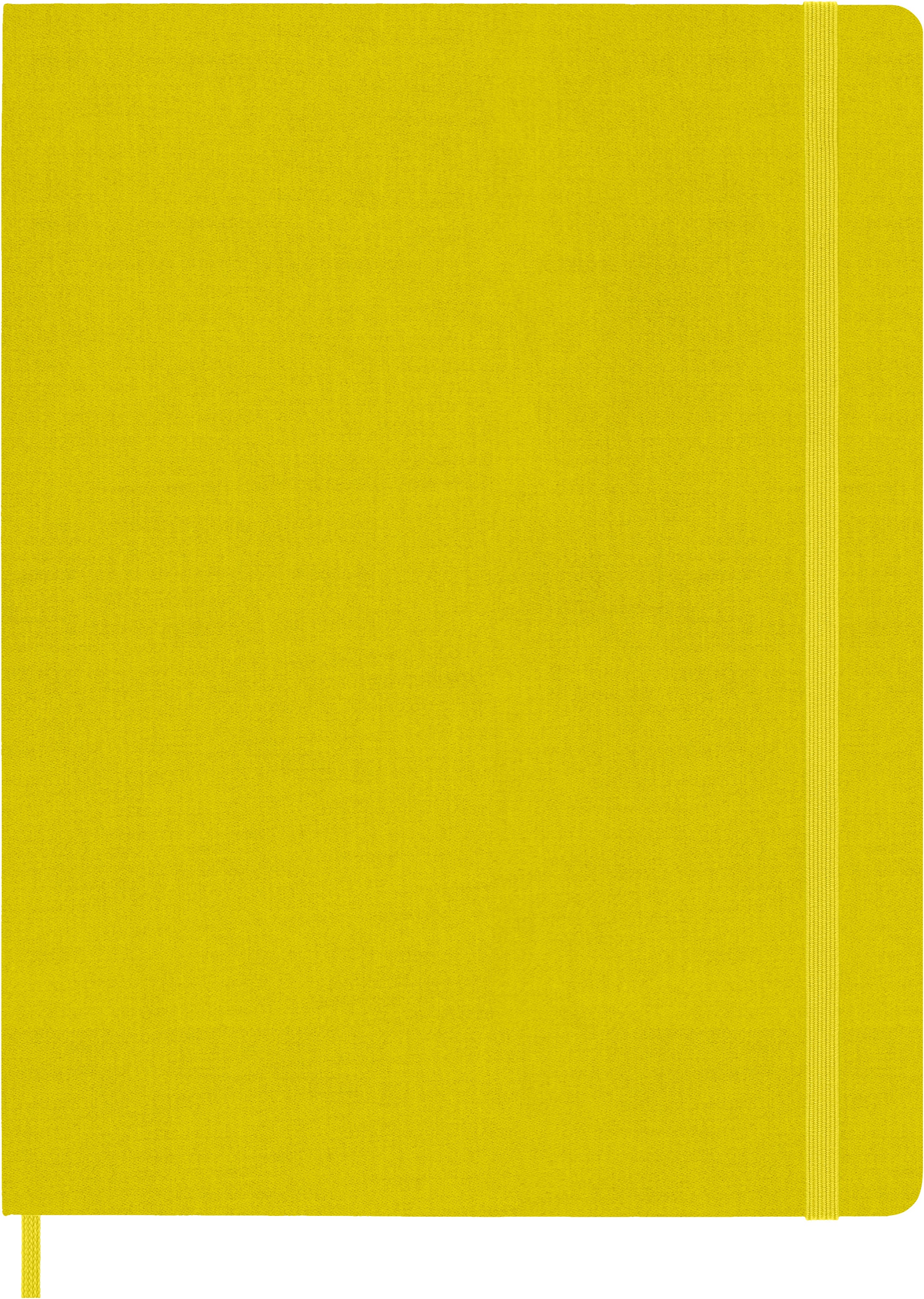 Moleskine Color Notizbuch – 195 × 255 mm – liniert – 192 Blatt – 70 g/m² – Hardcover, gelb, FSC