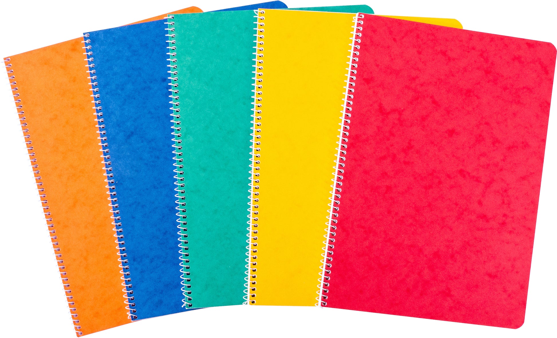 novooo. Spiralheft – A4 – liniert – 48 Blatt – 80 g/m² – Spiralbindung, Kartonumschlag, mehrfarbig, FSC