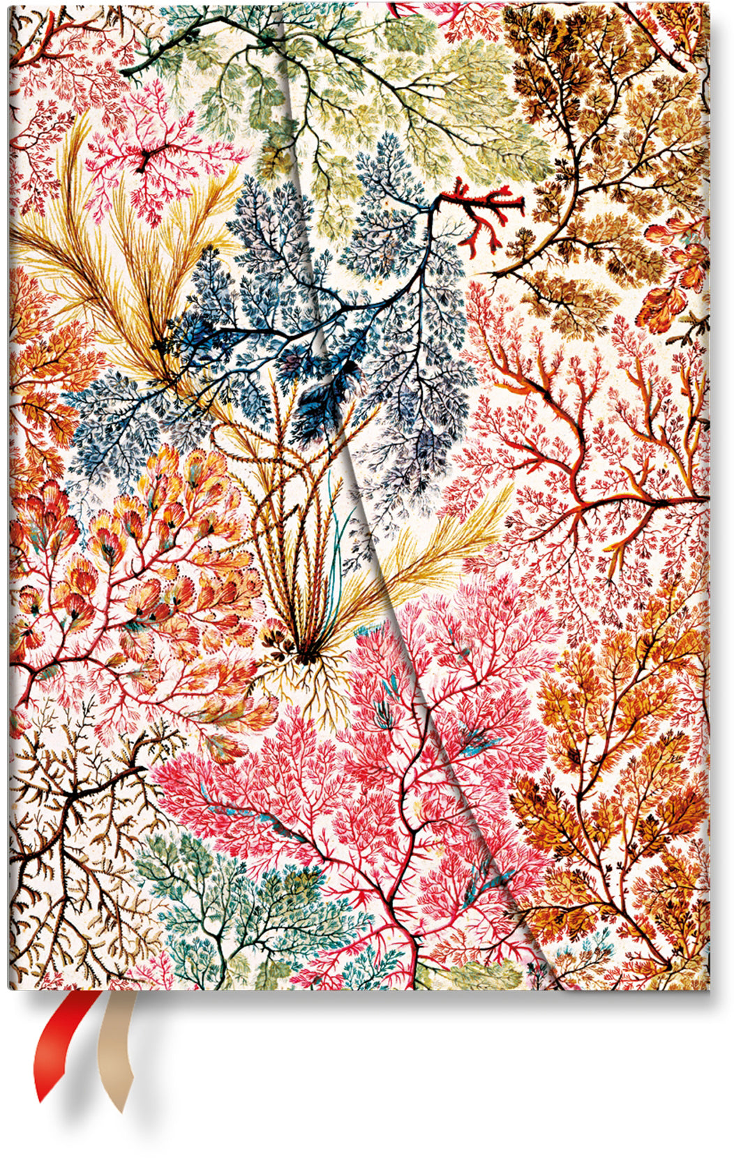 Paperblanks Anémone DF2064-7 – Wochenagenda 2027, 1 Woche/2 Seiten, 14,5 × 19,0 cm, Hardcover, Französisch