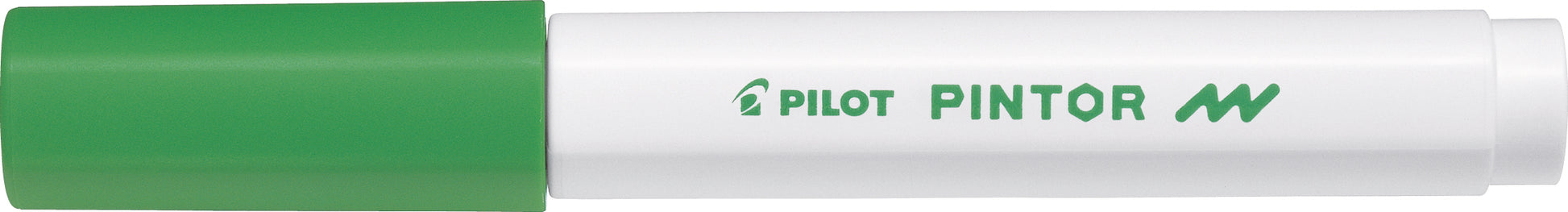 Pilot Kreativ-/Pigmentmarker – Hellgrün, Deckend, Lichtbeständig – Für Viele Oberflächen