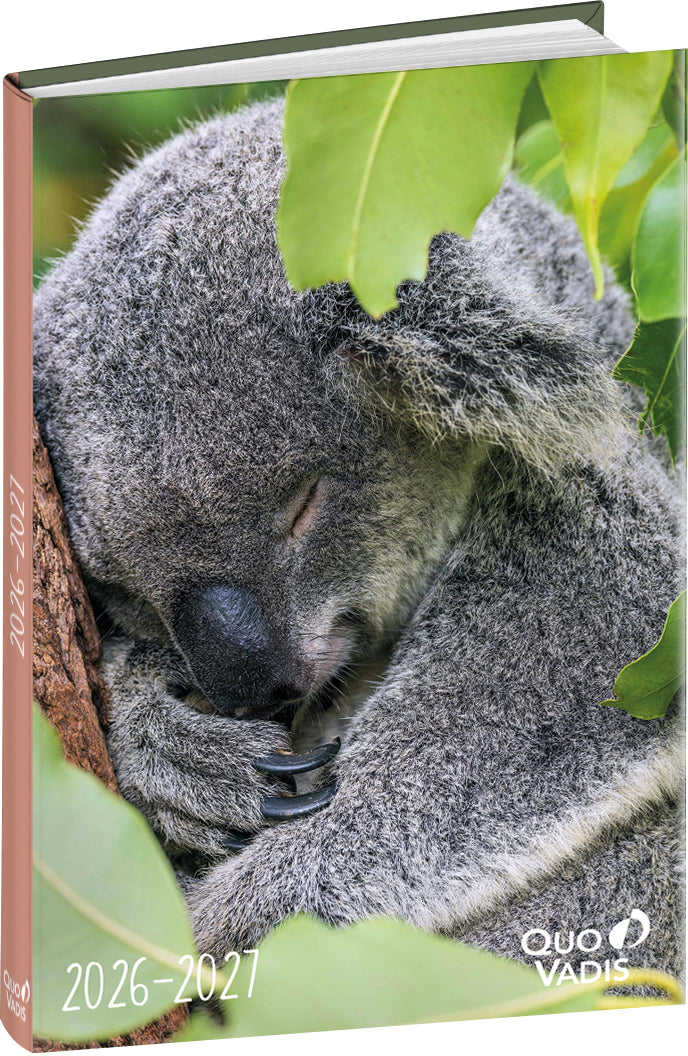 Quo-vadis Quo Vadis Eurotextagenda Koala – Schulagenda 2026/27, 1 Tag/1 Seite, 12,7 × 17,7 cm, gebunden