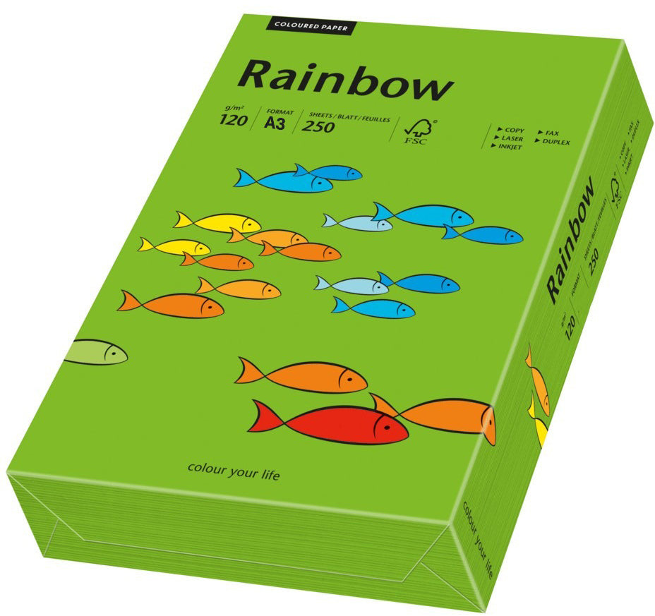 Rainbow Farbiges Kopierpapier intensivgrün – A3, 120 g/m², 250 Blatt