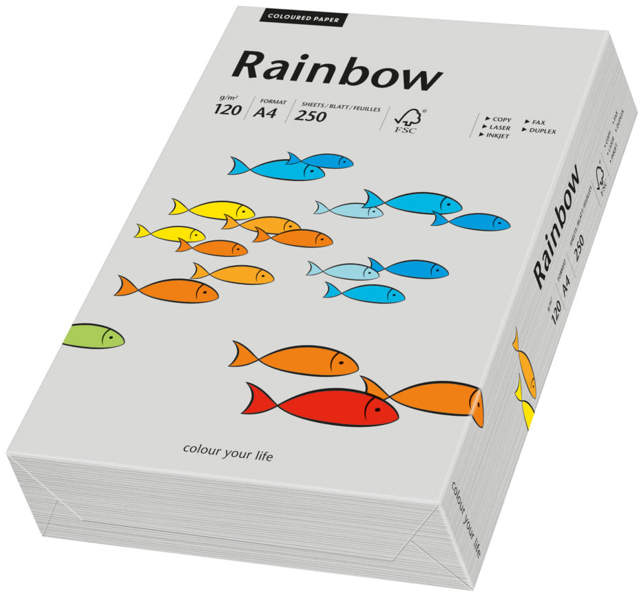 Rainbow Farbiges Kopierpapier Grau – A4, 120 g/m², 250 Blatt