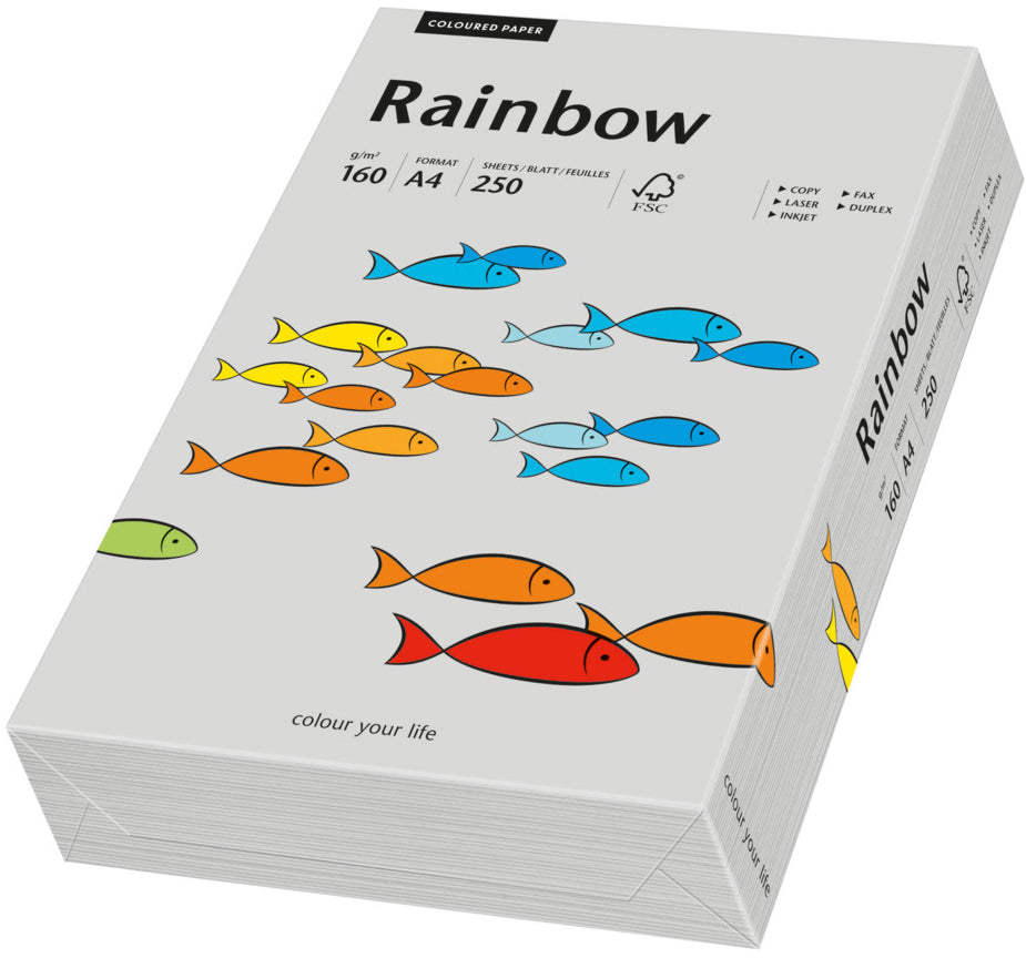Rainbow Farbiges Kopierpapier Grau – A4, 160 g/m², 250 Blatt