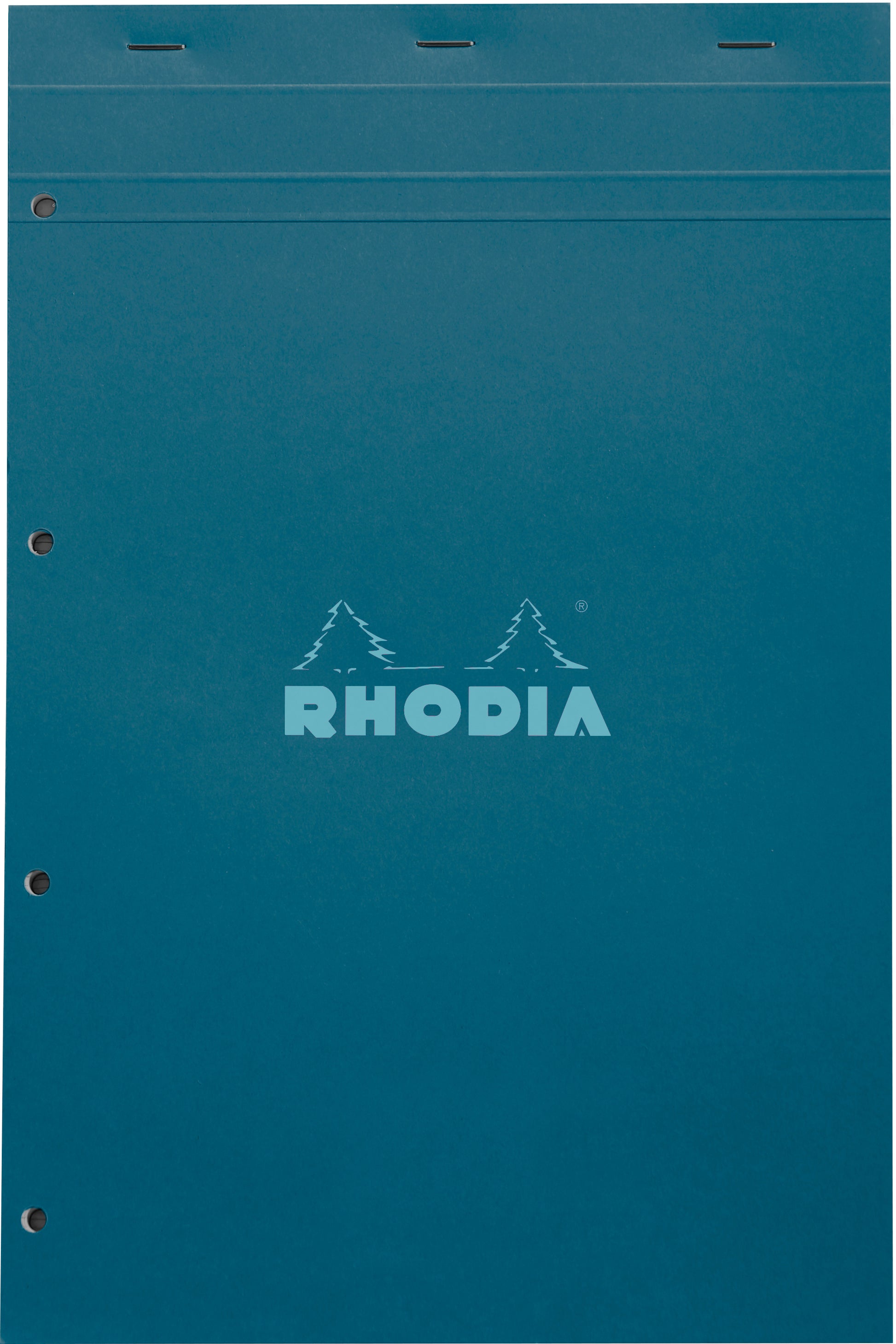 Rhodia Notizblock – A4+ – kariert – 80 Blatt – 80 g/m² – mikroperforiert, wasserdichter Deckel, grün, FSC